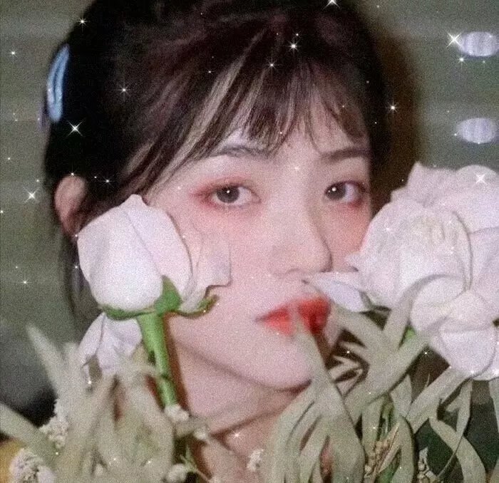 宽广的世界