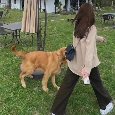 大楼里只有谋杀第三季